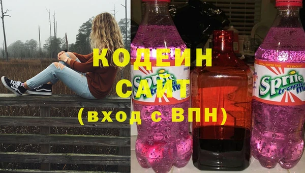 прущие грибы Арсеньев