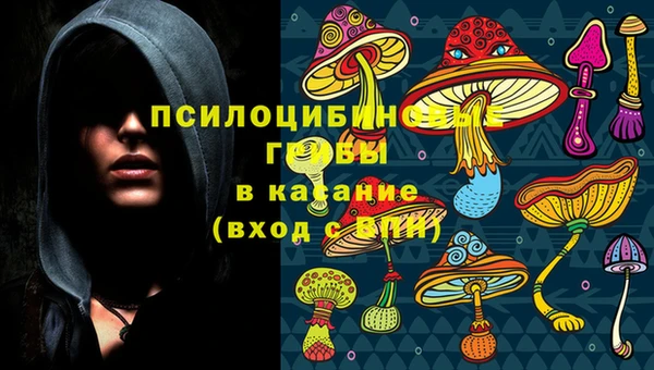 прущие крисы Аркадак