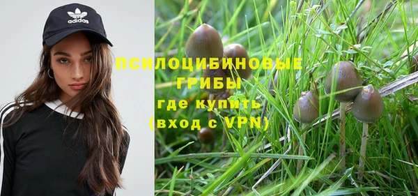 амф Балахна
