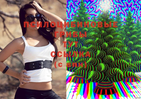 прущие грибы Арсеньев