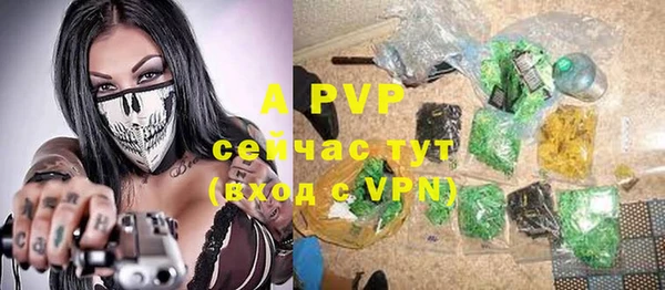 прущие крисы Аркадак