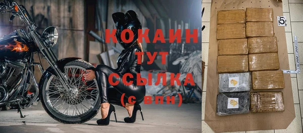 прущие грибы Арсеньев