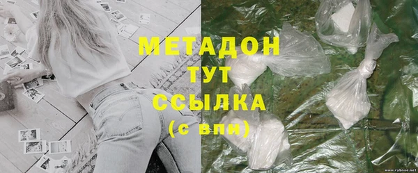 прущие грибы Арсеньев