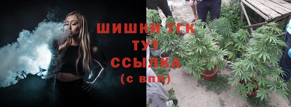 прущие грибы Арсеньев