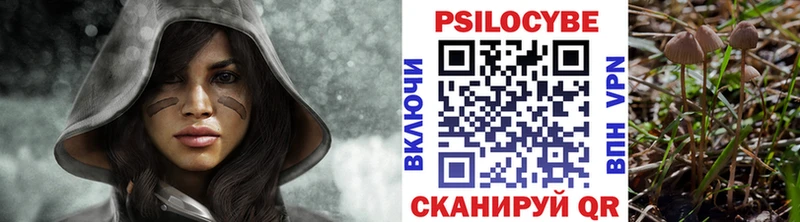 Галлюциногенные грибы Psilocybe  магазин  наркотиков  Дегтярск 